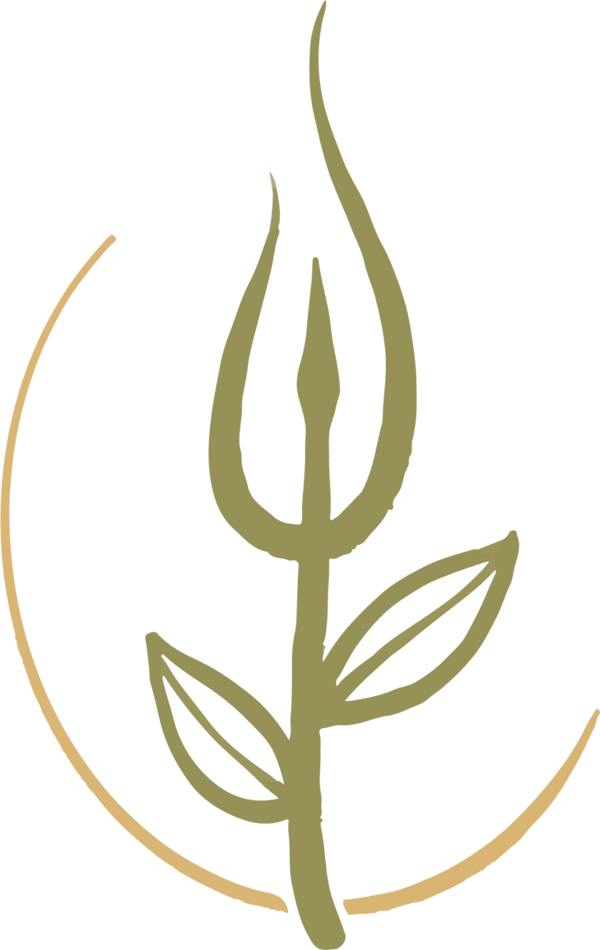 Pranamaya Organics